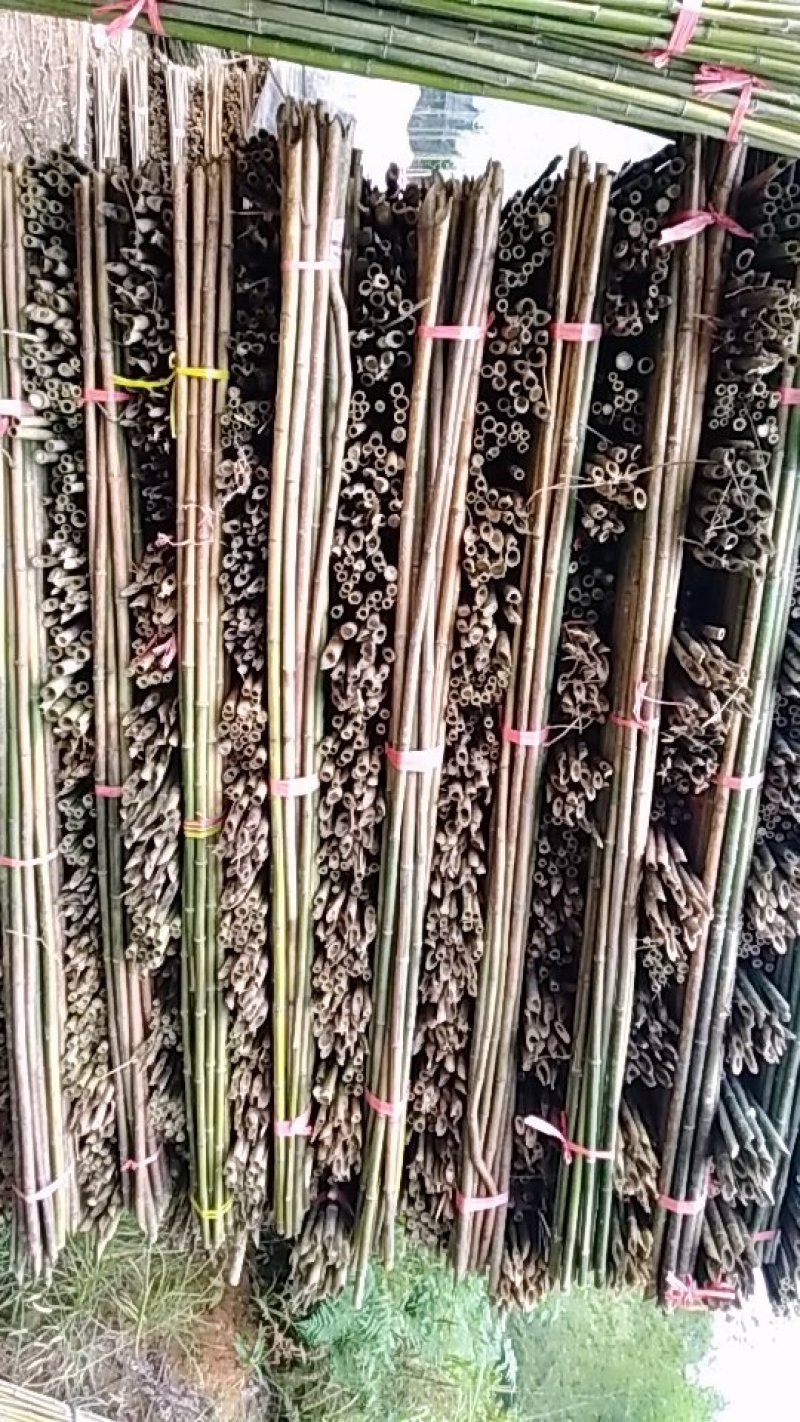 湖南批发竹竿自麻竹芒果架香蕉架瓜果类架