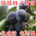 【新品种】柿子树，嫁接黑柿子树，可实地考察