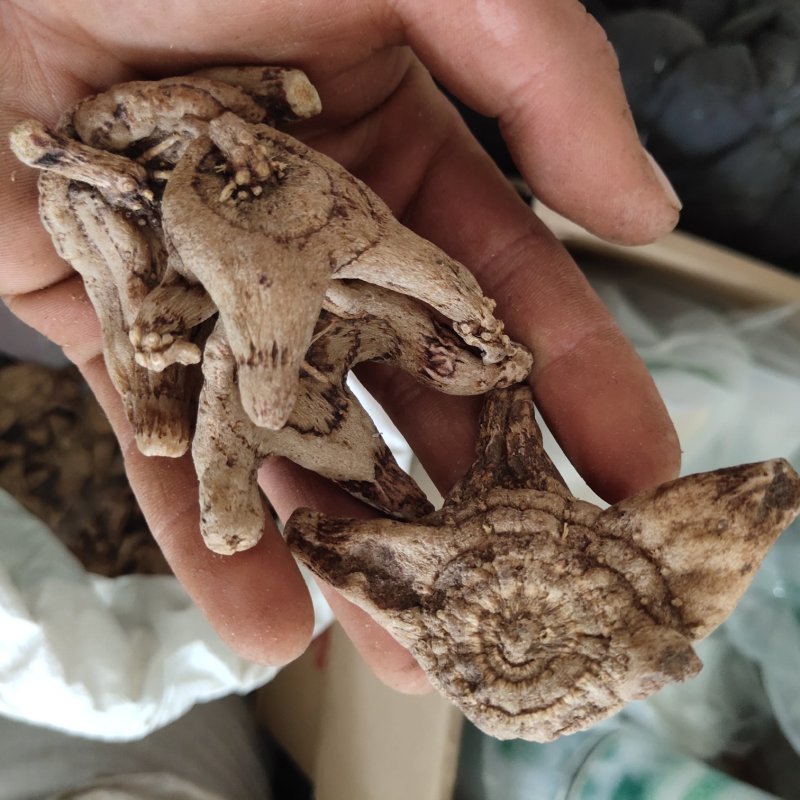白芨白芨个大统货新货促销关书药业