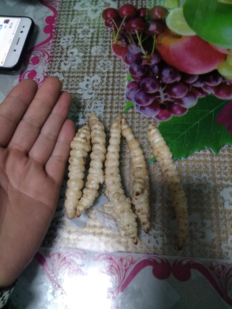 2019年精品螺丝菜销售大王