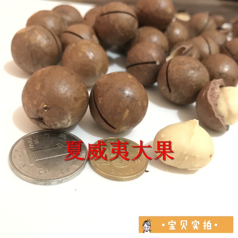 批发奶油味夏威夷果中大果一箱10斤无坏果质量保证一件代发