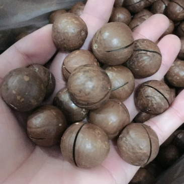 批发奶油味夏威夷果中大果一箱10斤无坏果质量保证一件代发
