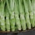 四川省广汉市精品棒菜
