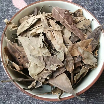 榕树叶产地直供支持线上交易各种规格可搭配多品种采购