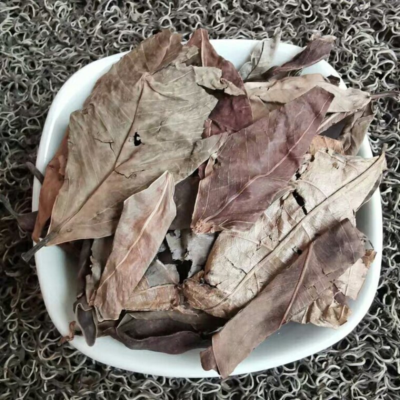 榕树叶产地直供支持线上交易各种规格可搭配多品种采购