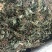 青天葵产地直供支持线上交易可搭配多品种采购大货联系