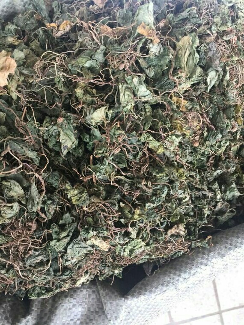 青天葵产地直供支持线上交易可搭配多品种采购大货联系