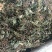 青天葵产地直供支持线上交易可搭配多品种采购大货联系