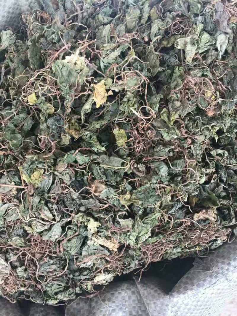 青天葵产地直供支持线上交易可搭配多品种采购大货联系