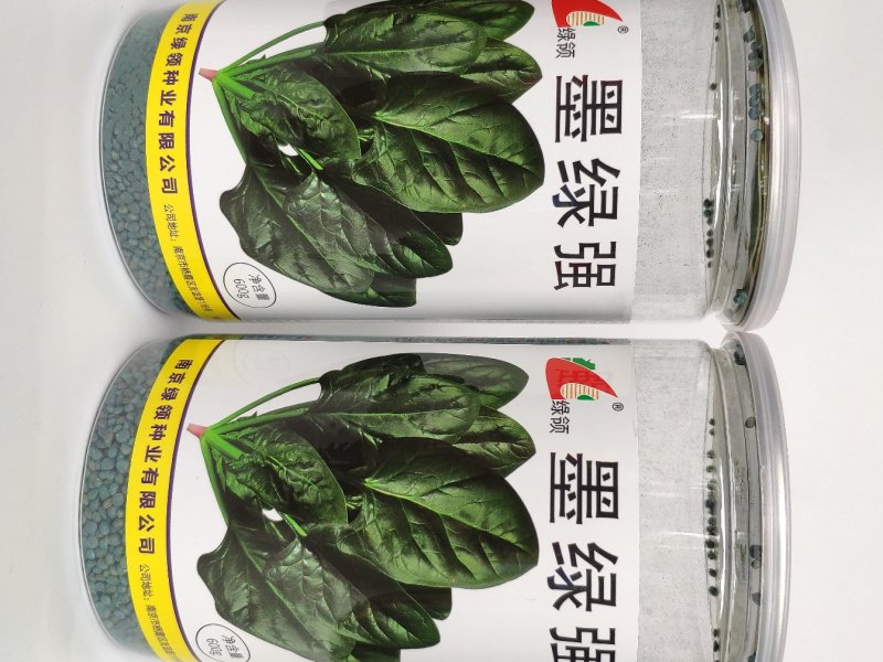 墨绿强菠菜种籽耐寒圆叶黑叶菠菜籽