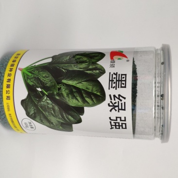 墨绿强菠菜种籽耐寒圆叶黑叶菠菜籽