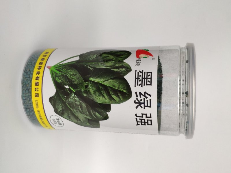 墨绿强菠菜种籽耐寒圆叶黑叶菠菜籽