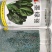 墨绿强菠菜种籽耐寒圆叶黑叶菠菜籽