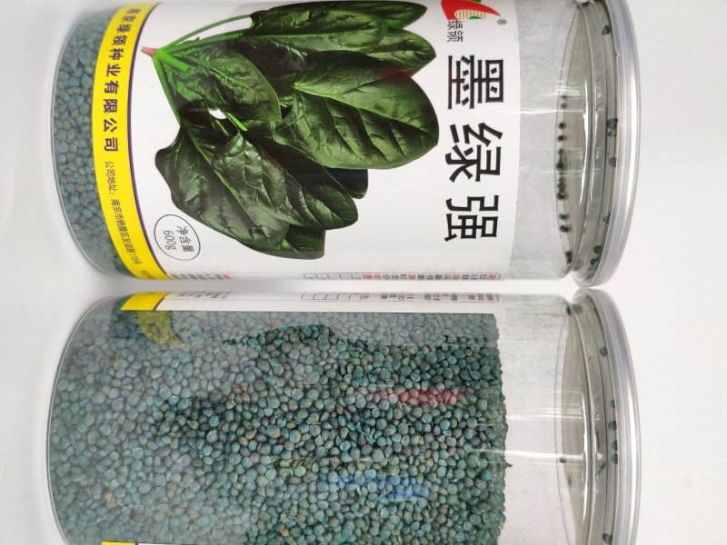 墨绿强菠菜种籽耐寒圆叶黑叶菠菜籽
