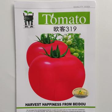 欧客319粉红番茄西红柿种籽