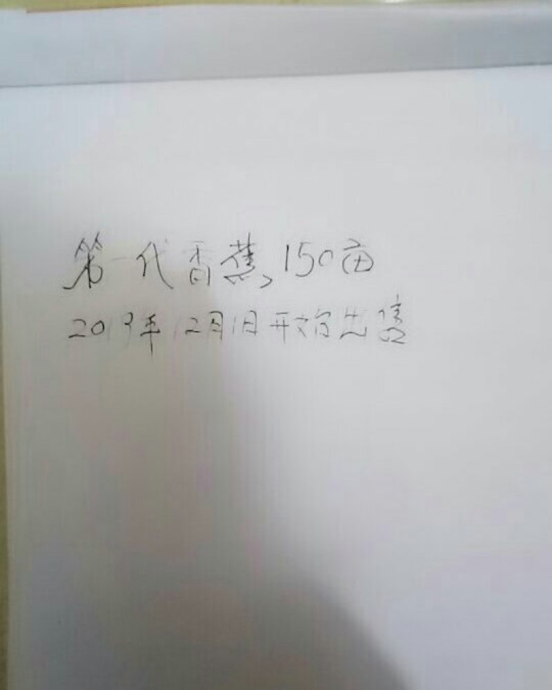 香蕉第一代出售