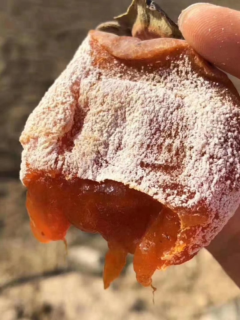 正宗富平柿饼