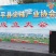 正宗富平柿饼