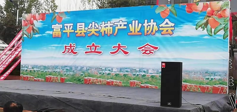 正宗富平柿饼