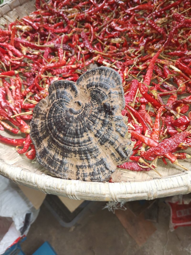 中药材