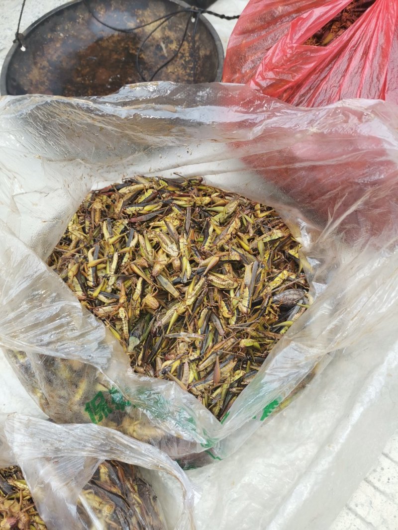 中药材