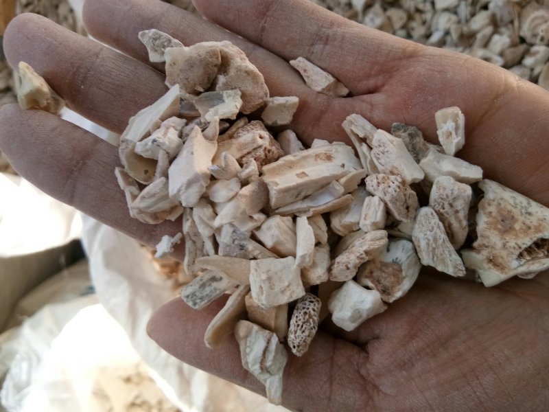 龙齿别名青龙齿白龙齿山西干净无杂