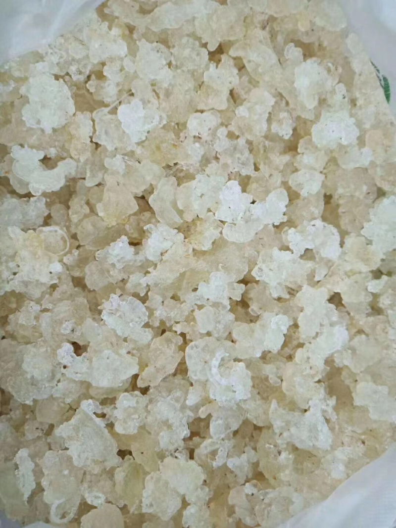 拉丝雪燕