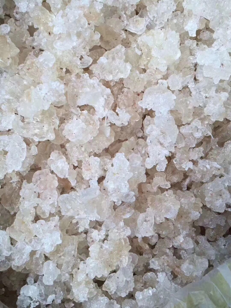 拉丝雪燕