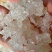 拉丝雪燕