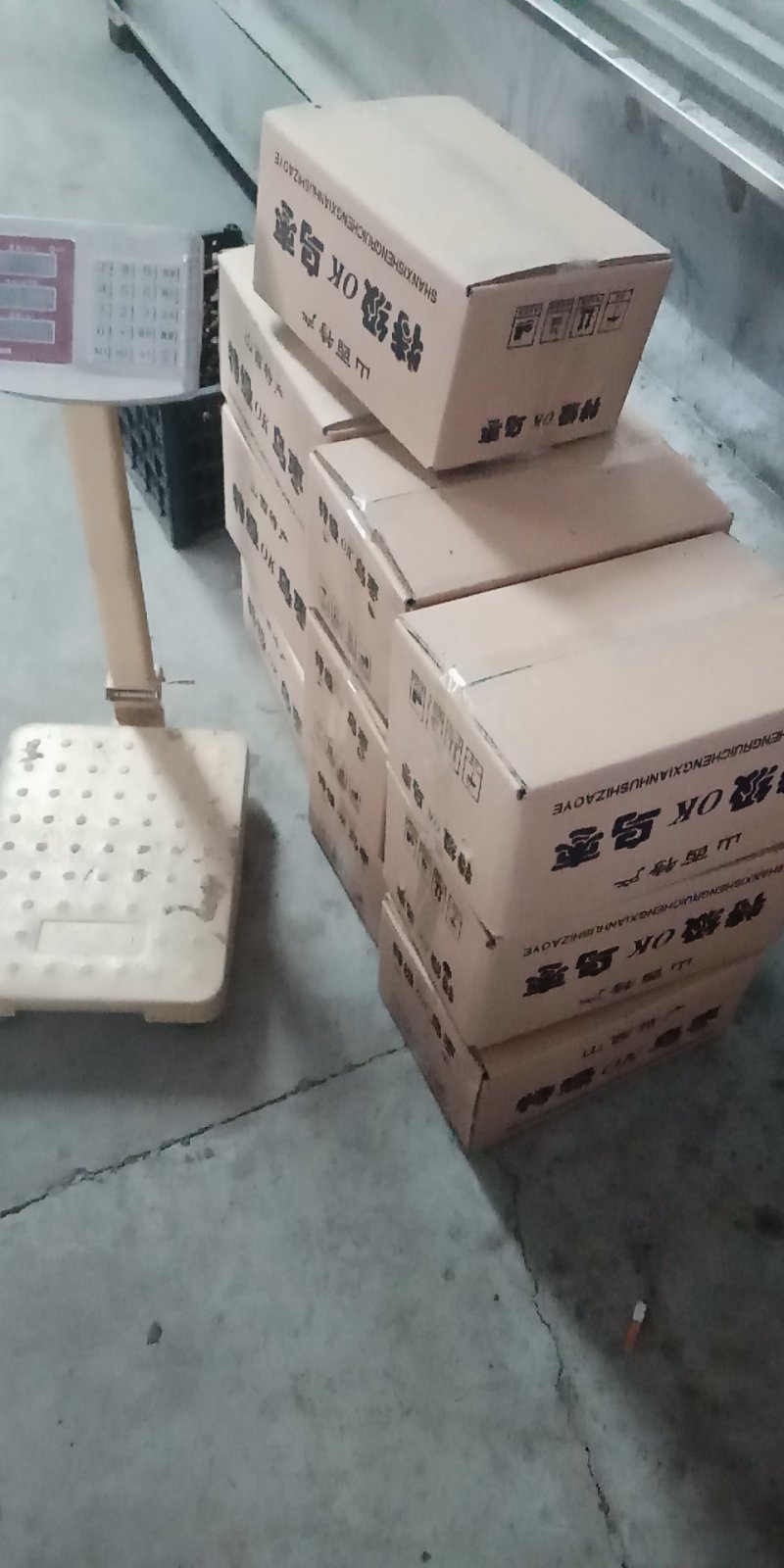 圆黑枣乌枣二级山西产地直销晒干烤干都有