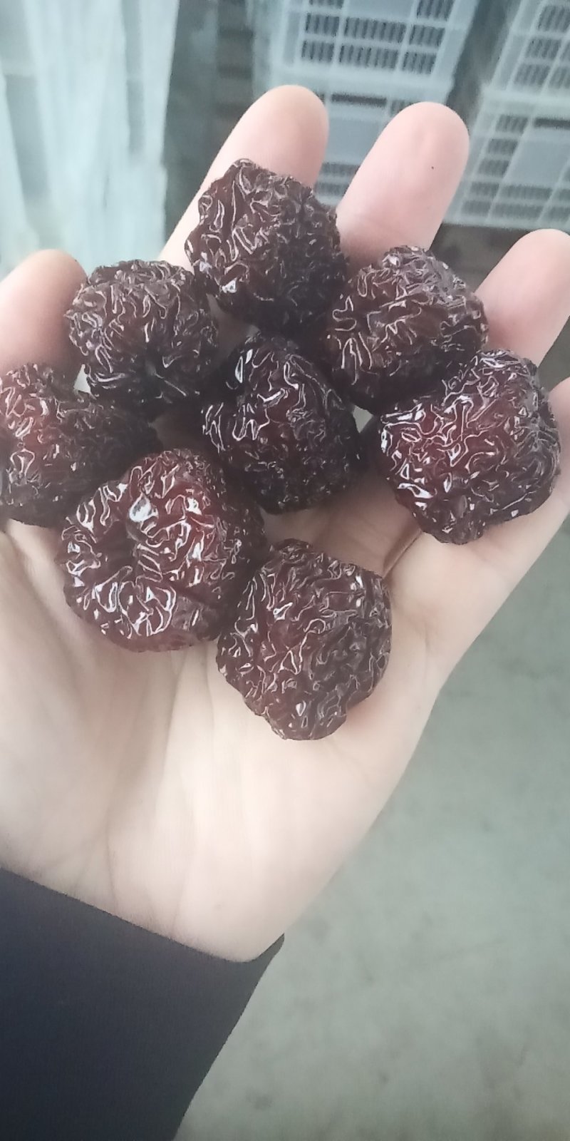 圆黑枣乌枣二级山西产地直销晒干烤干都有
