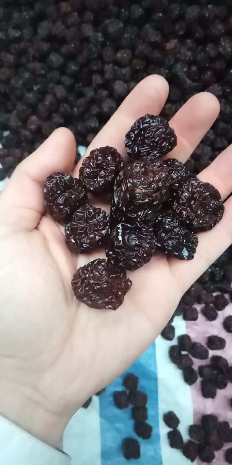 圆黑枣乌枣二级山西产地直销晒干烤干都有