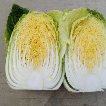 玲珑黄矮颗全黄心大白菜，质量好，诚信合作