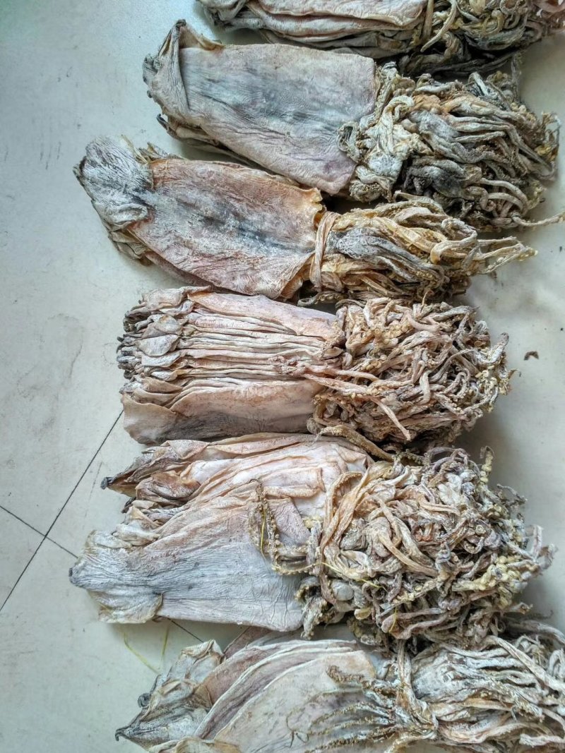 朝鲜鱿鱼干。水发鱿鱼干