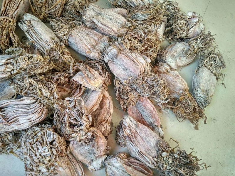 朝鲜鱿鱼干。水发鱿鱼干