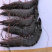 越南黑虎虾