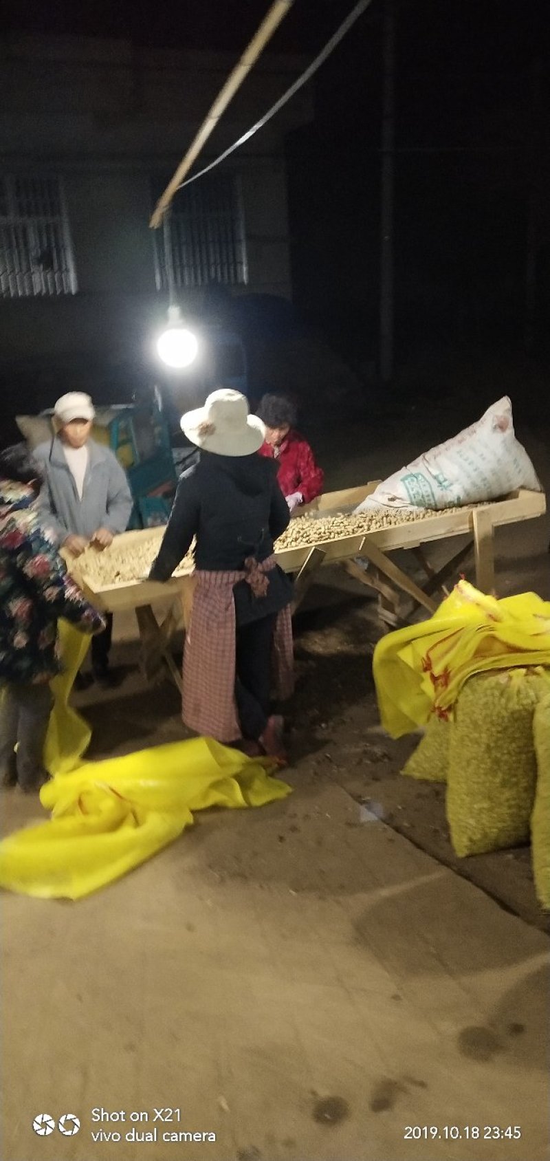 鲜花生过筛手选老度达标颗粒饱满口感粮油作物