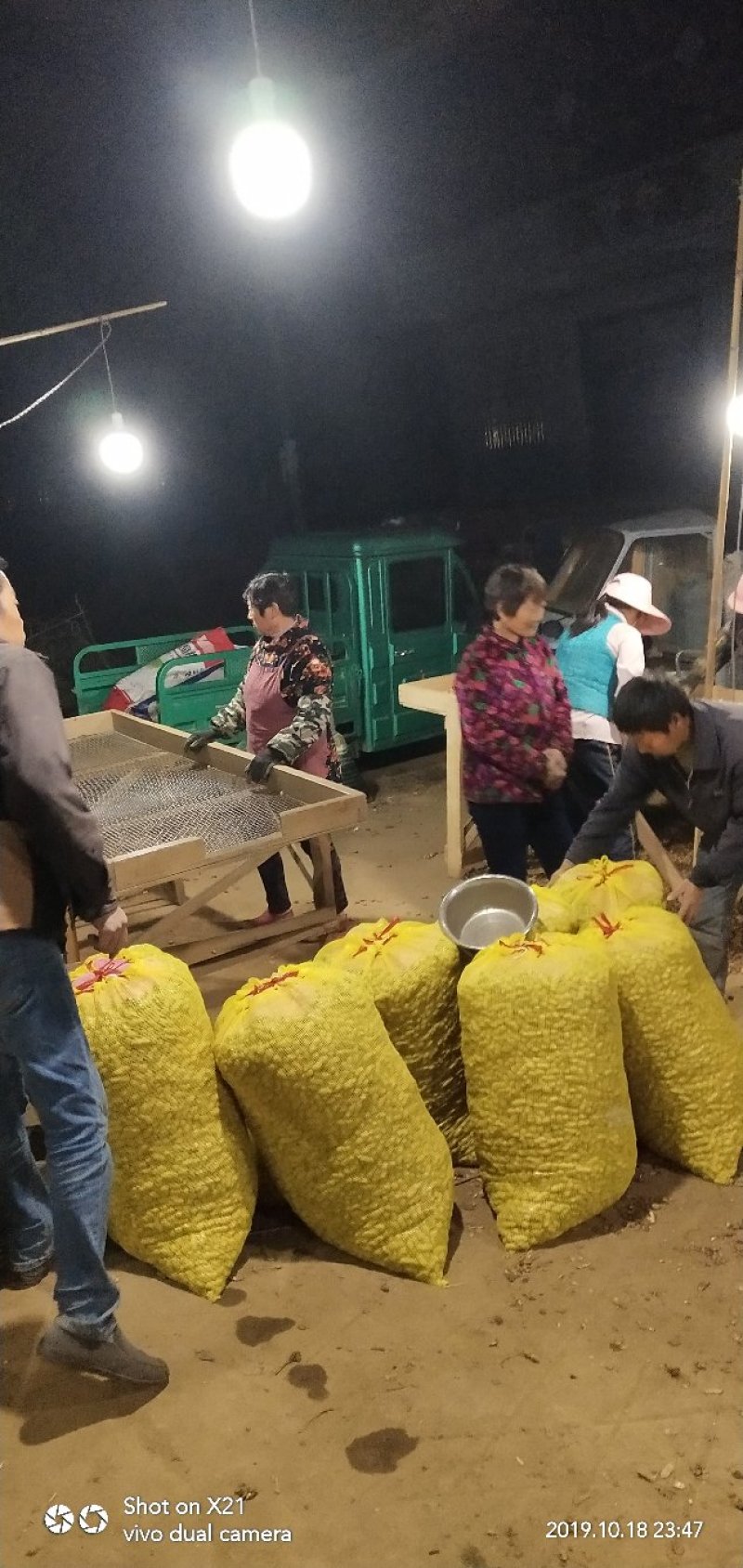 鲜花生过筛手选老度达标颗粒饱满口感粮油作物