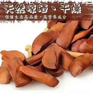 向天果