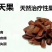 向天果