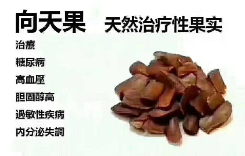 向天果