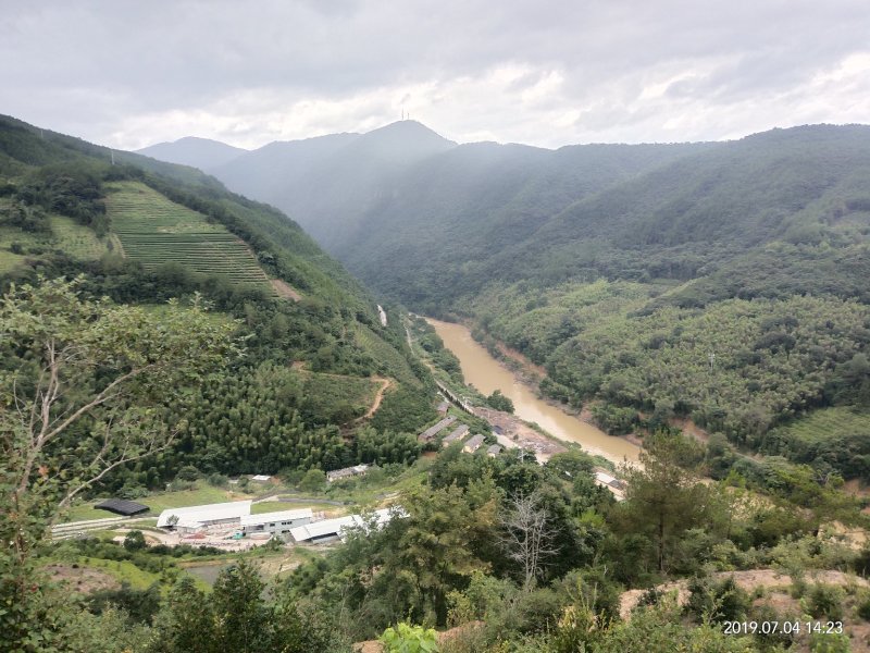 戴云山黑山羊