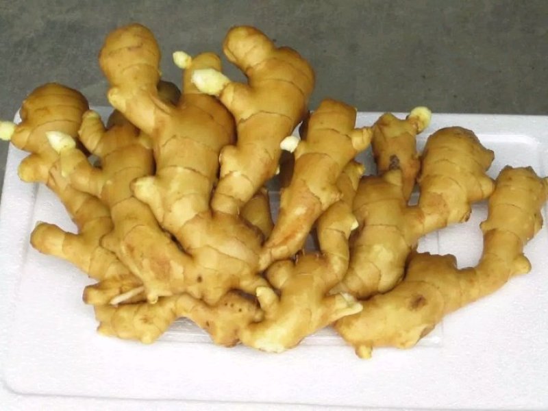 【优质生姜】大黄姜，就到山东飞润农业合作社，质量好价格低