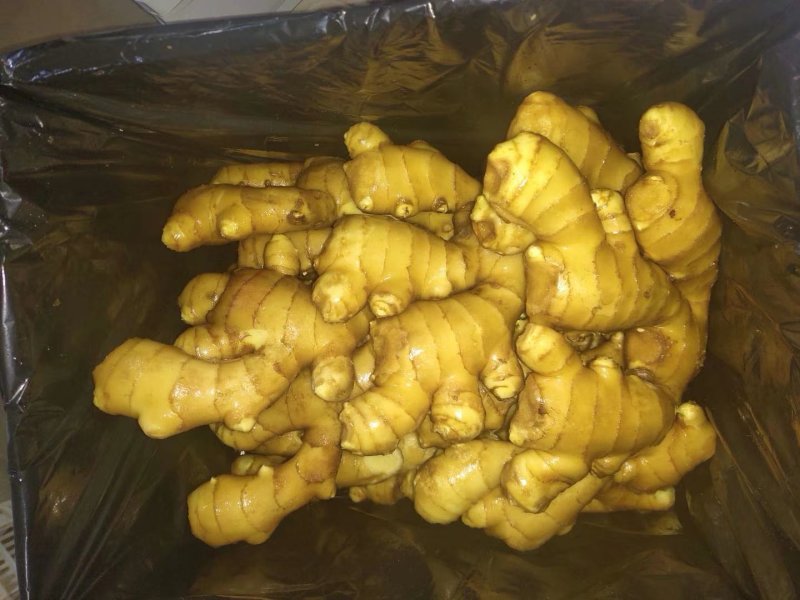 【优质生姜】大黄姜，就到山东飞润农业合作社，质量好价格低