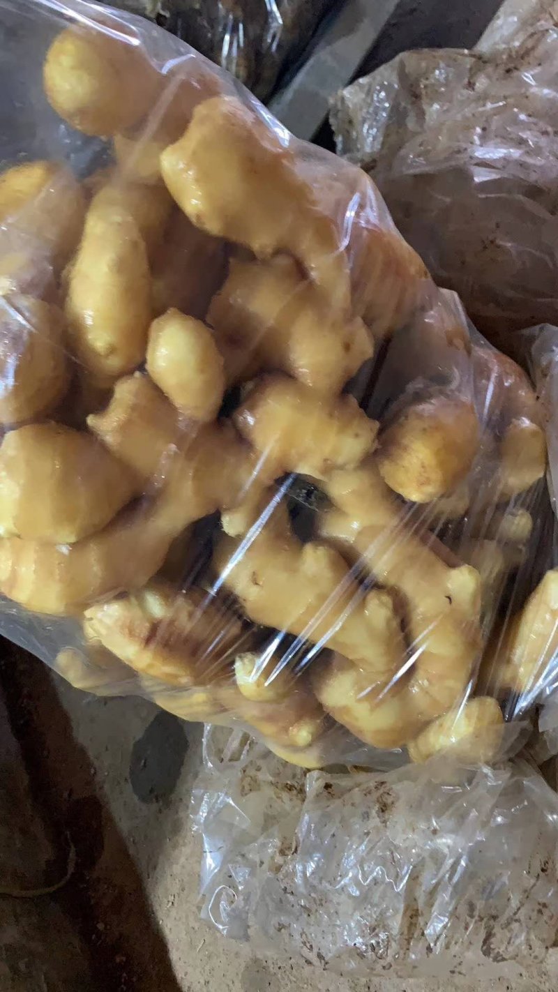 【优质生姜】大黄姜，就到山东飞润农业合作社，质量好价格低