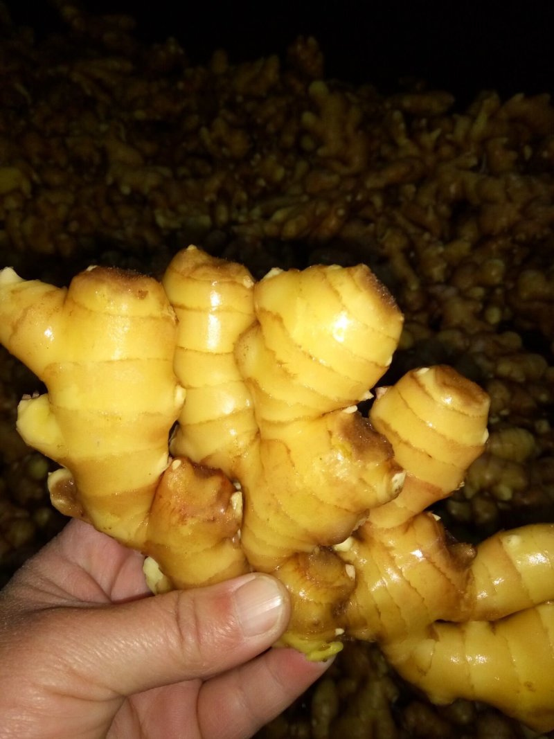 【优质生姜】大黄姜，就到山东飞润农业合作社，质量好价格低