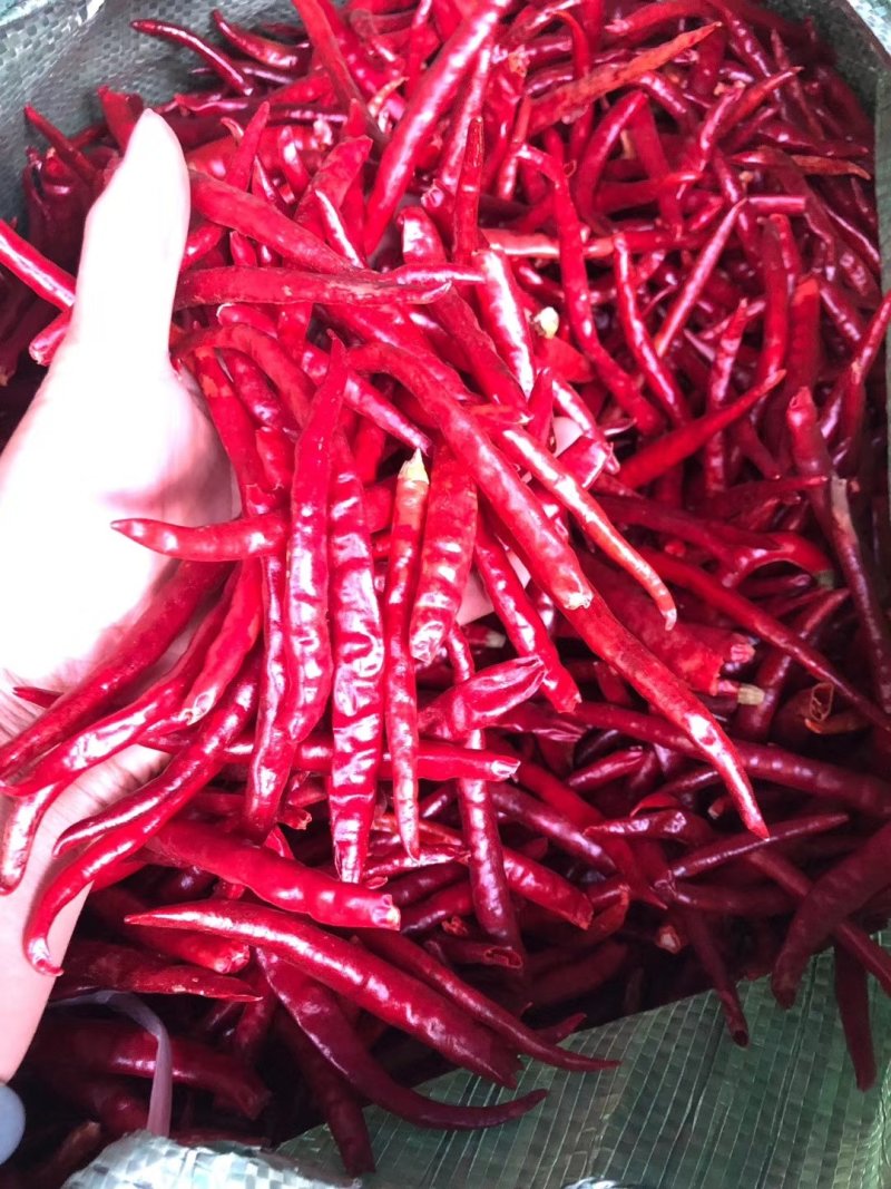 云南丘北辣，通货大量现货