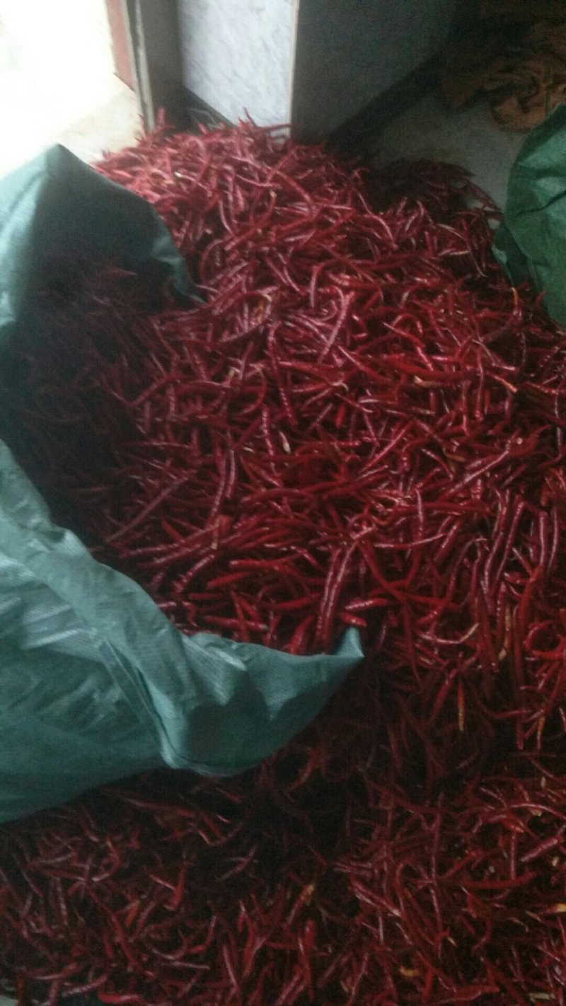云南丘北辣，通货大量现货
