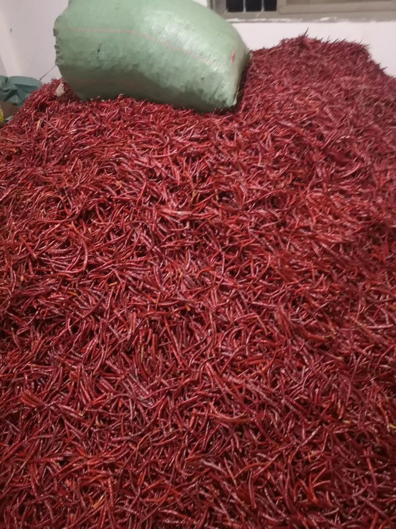 云南丘北辣，通货大量现货