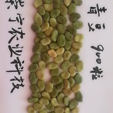 替代云南豆